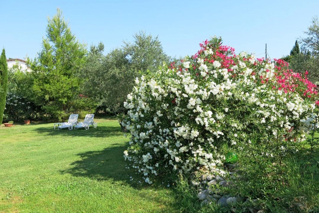 Photo of Outdoor in Collecorvino