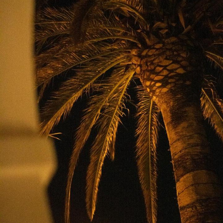 Photo of Others in Santa Marinella