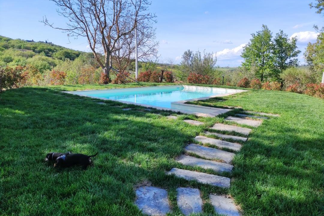 Photo of Others in Castiglione d'Orcia