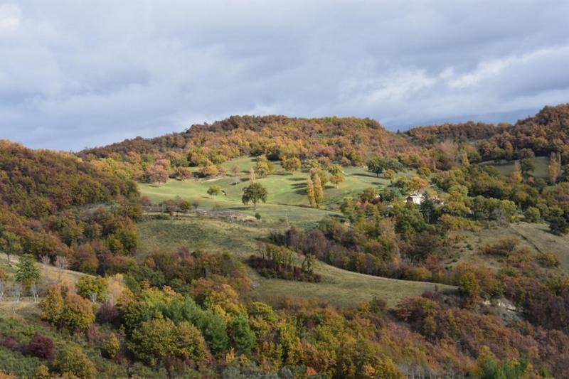 Photo of Others in Valtopina