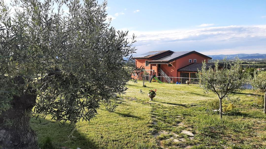 Photo of Others in Cannara