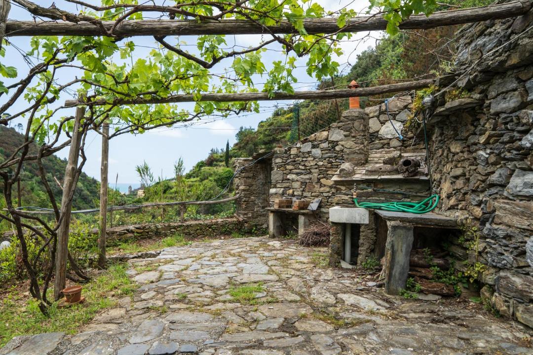 Photo of Others in Vernazza