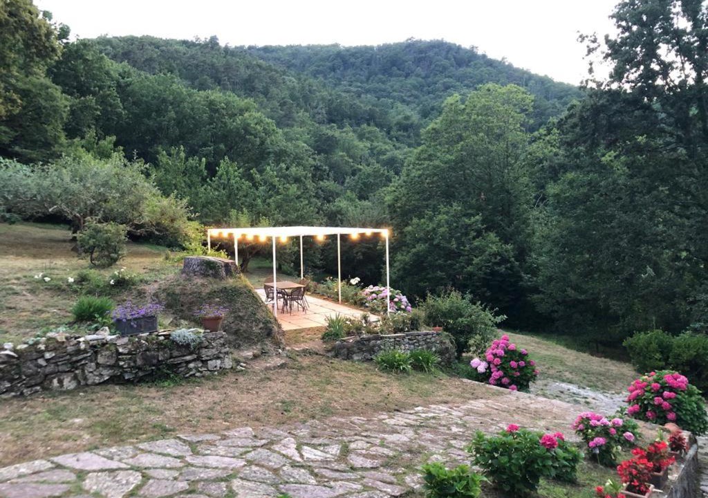 Photo of Others in Ricco del Golfo