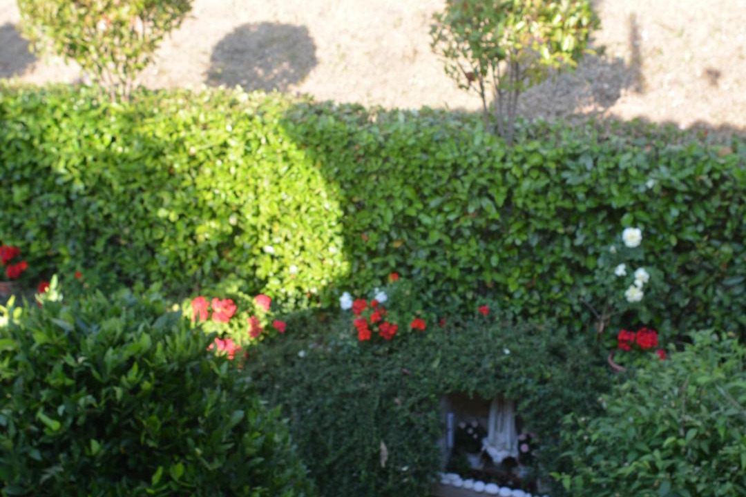 Photo of Others in Gubbio