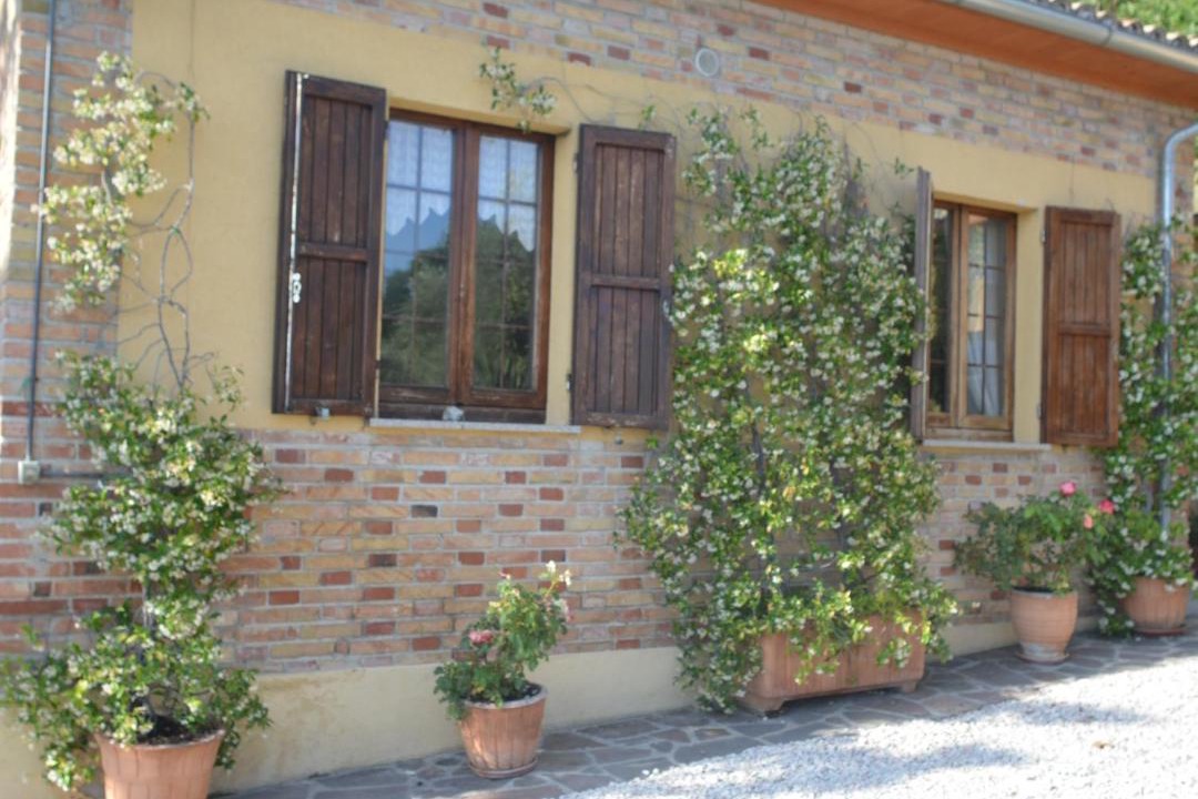 Photo of Others in Gubbio