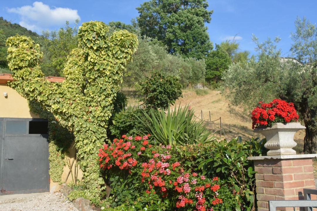 Photo of Others in Gubbio