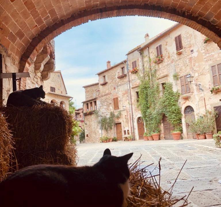 Photo of Others in Montemerano