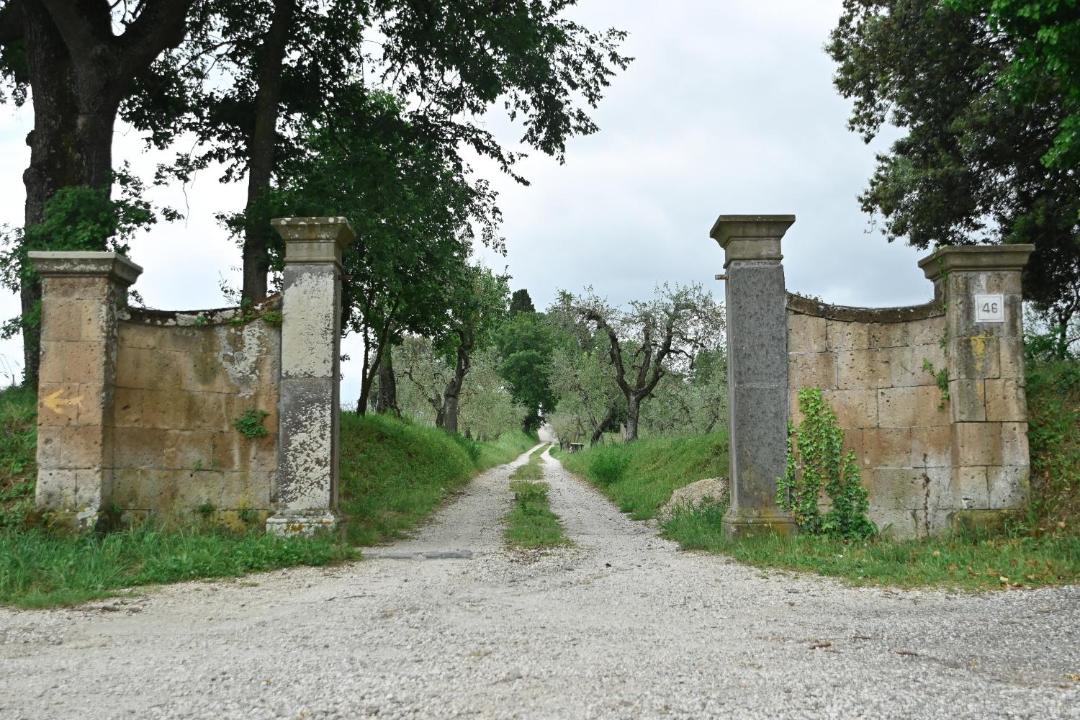 Photo of Others in Orvieto