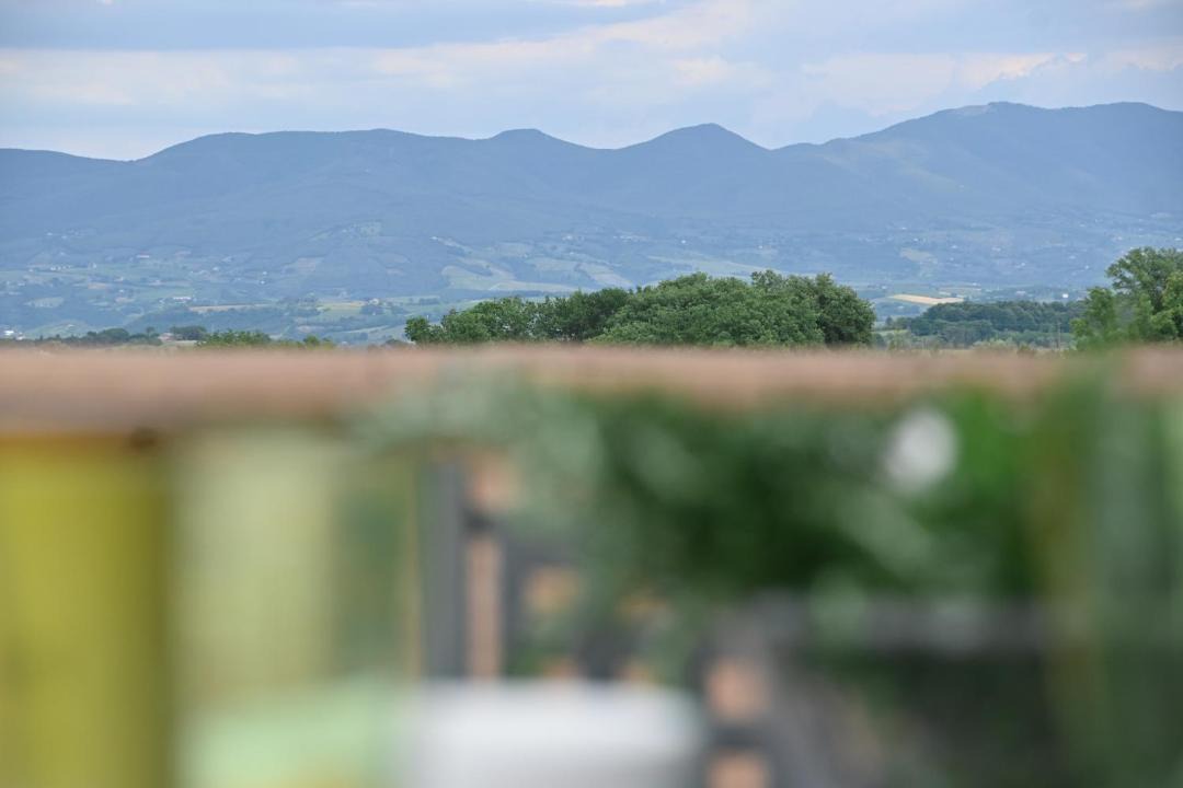Photo of Others in Orvieto