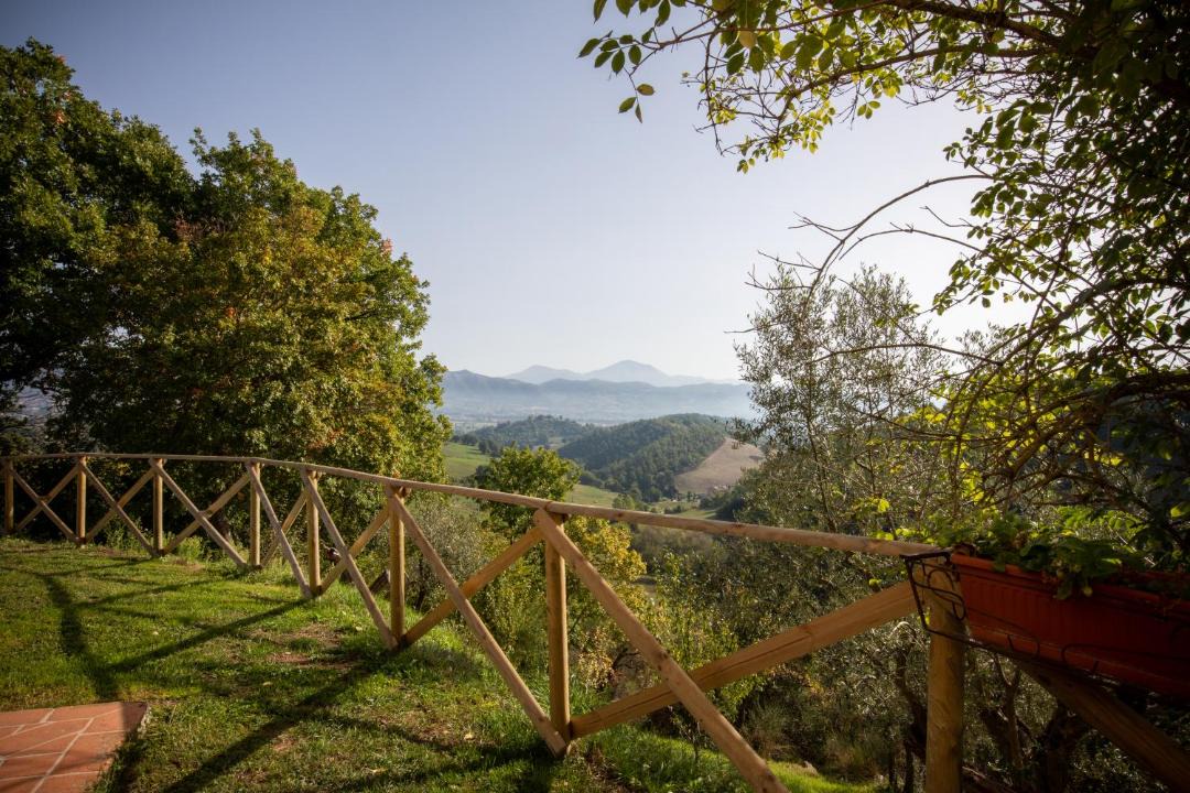 Photo of Others in Monteluiano