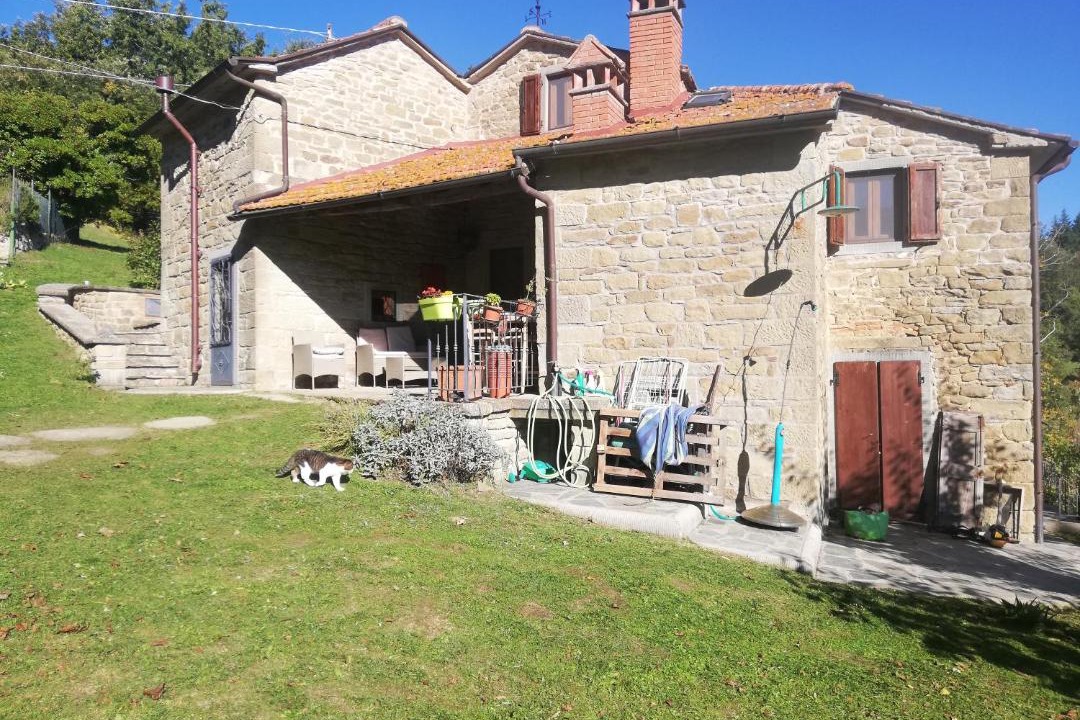 Photo of Others in Pratovecchio