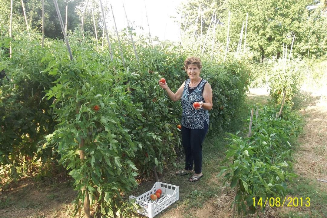 Photo of Others in Montemerano