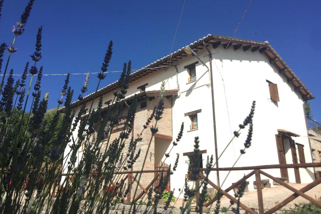 Photo of Others in Montemonaco