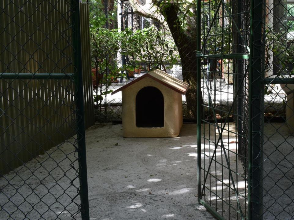 Photo of Others in Terni