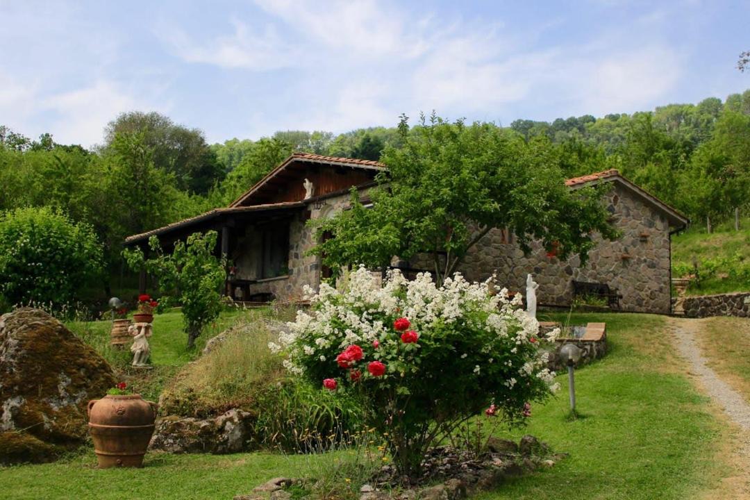 Photo of Others in Abbadia San Salvatore