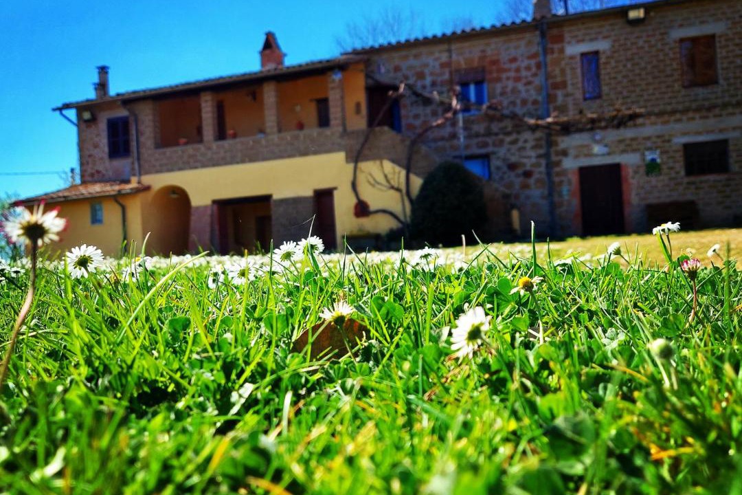 Photo of Others in Acquapendente