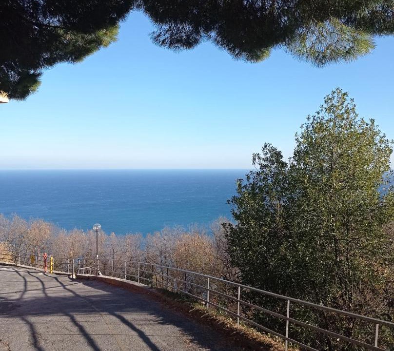 Photo of Others in Torre del Mare