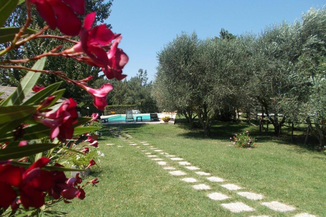 Photo of Others in Manciano