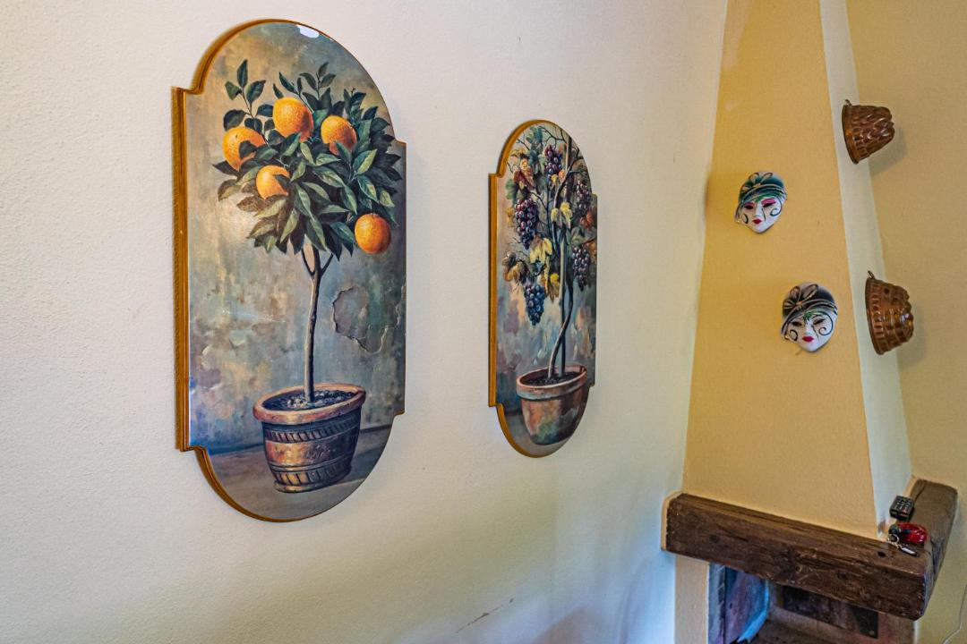 Photo of Others in Bonalaccia-Filetto