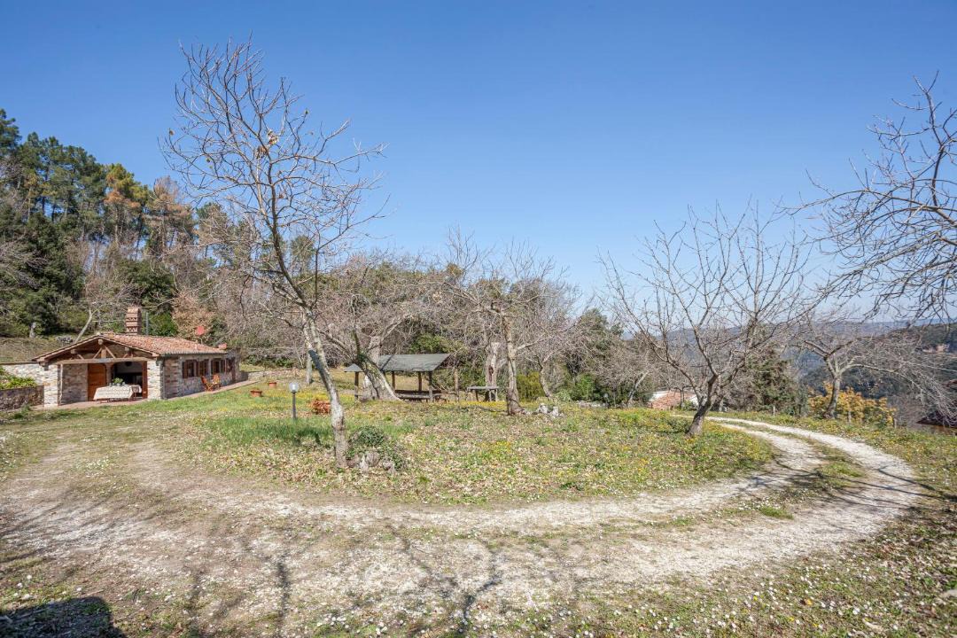 Photo of Others in Sassetta