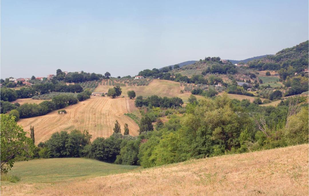 Photo of Others in Stroncone