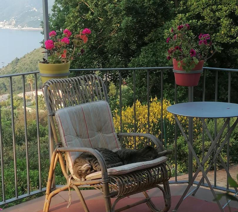 Photo of Others in Torre del Mare