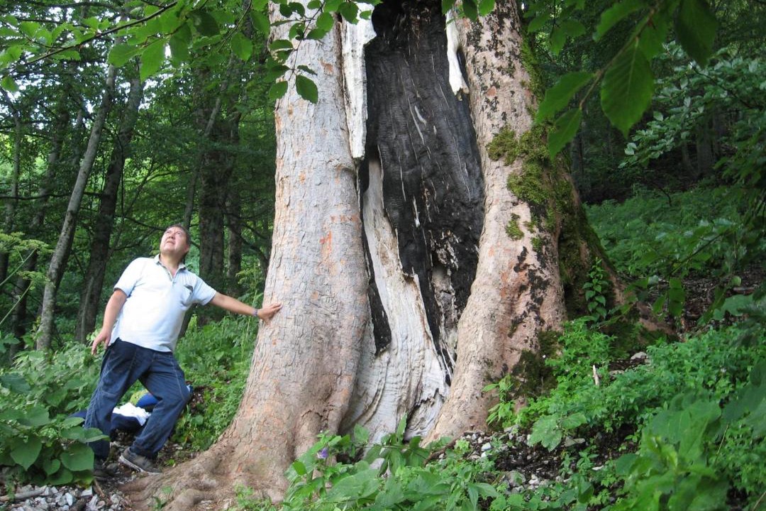 Photo of Others in Isola del Gran Sasso dʼItalia