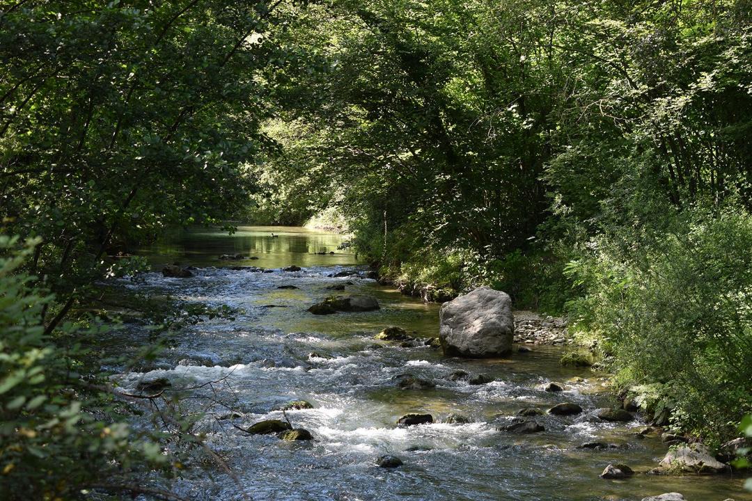 Photo of Others in Casenuove