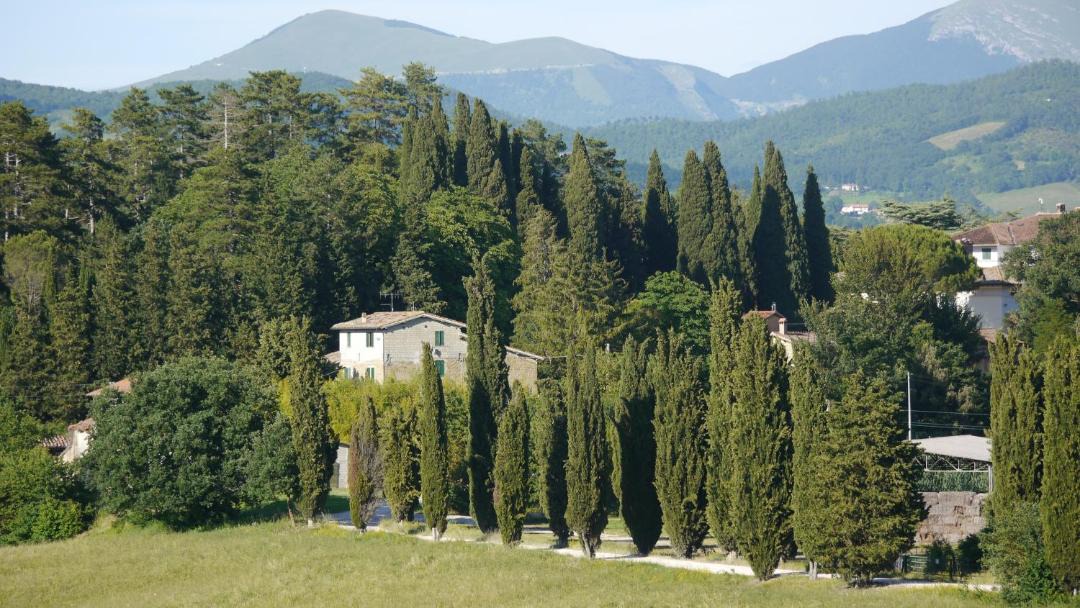Photo of Others in Ponte d'Assi