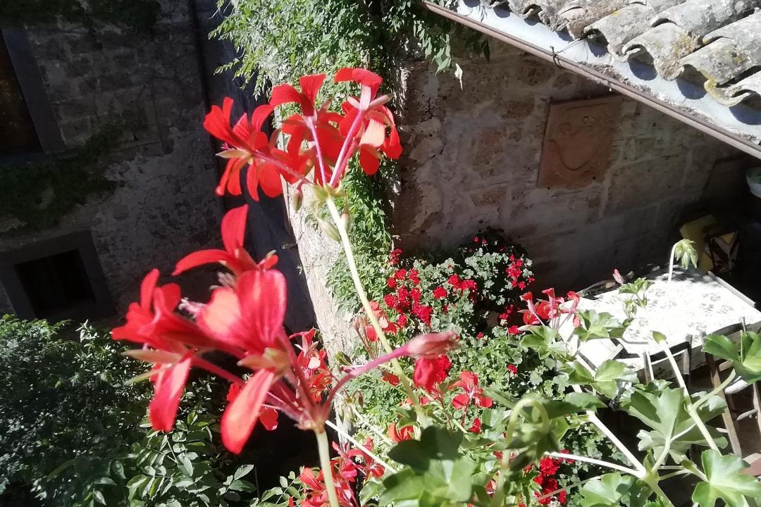 Photo of Others in Civita di Bagnoregio