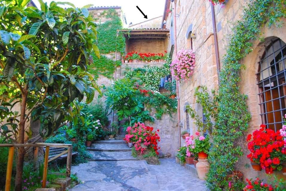 Photo of Others in Civita di Bagnoregio