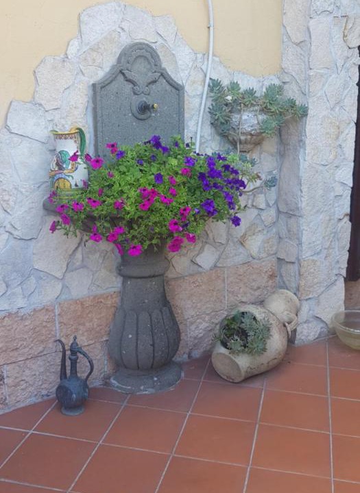 Photo of Others in Colleferro