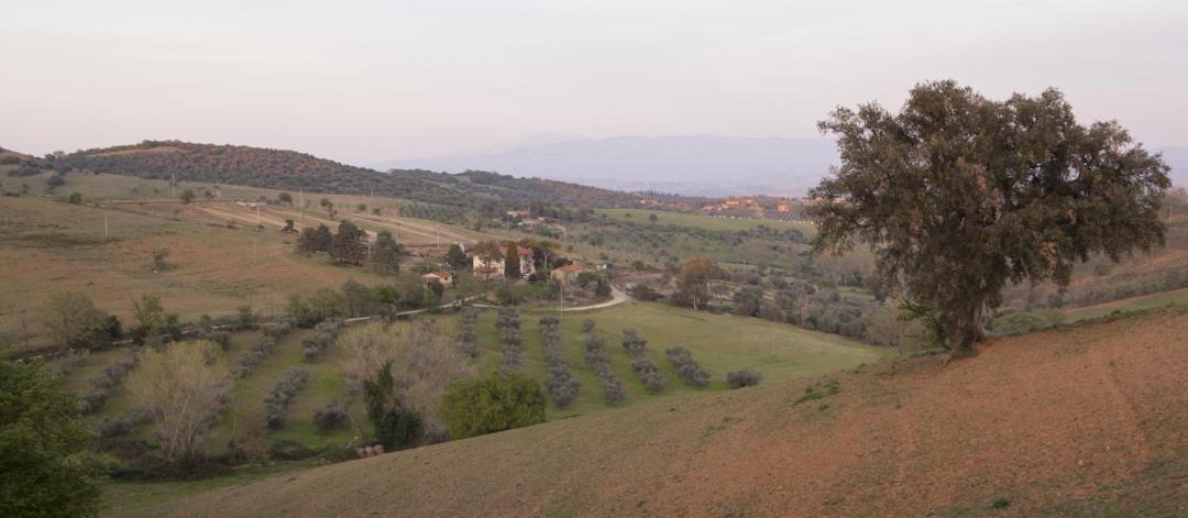 Photo of Others in Campagnatico