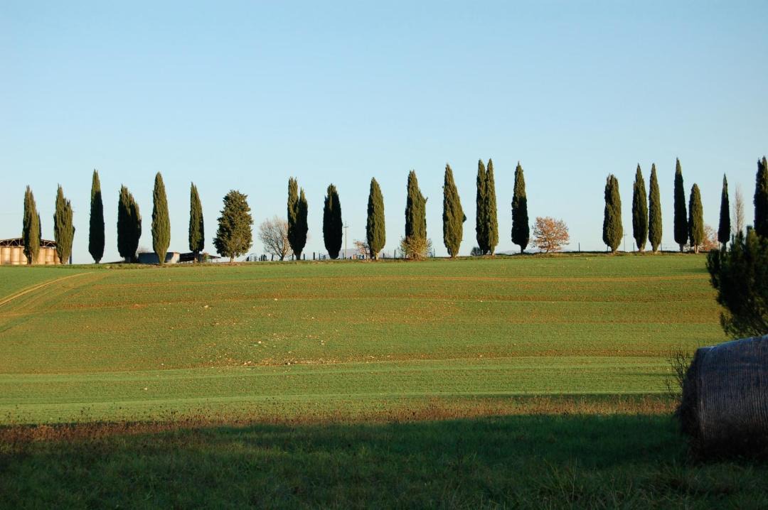 Photo of Others in Ponte d'Assi