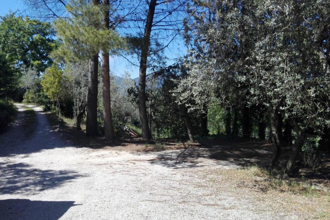 Photo of Others in Terni