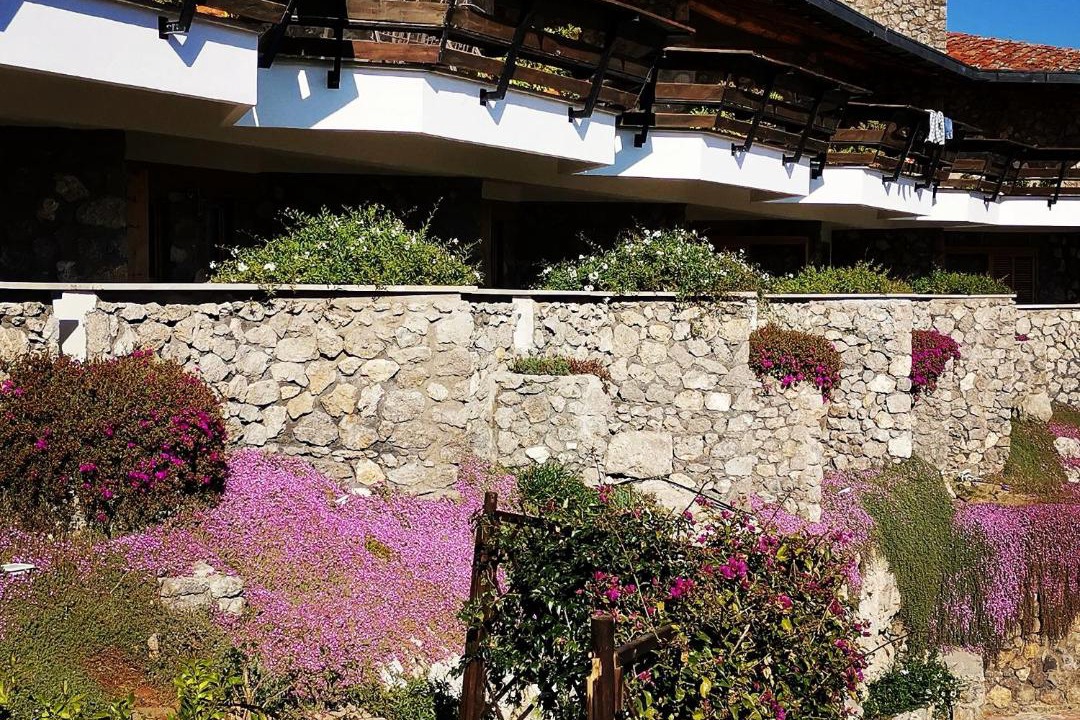 Photo of Others in Porto Ercole