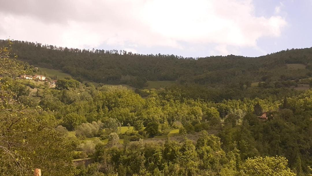 Photo of Others in Valtopina