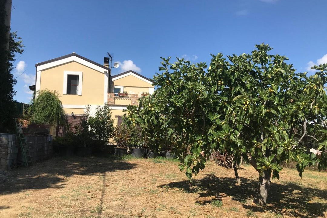 Photo of Others in Collecorvino