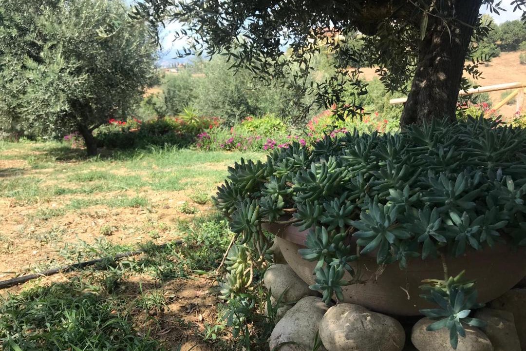 Photo of Others in Collecorvino