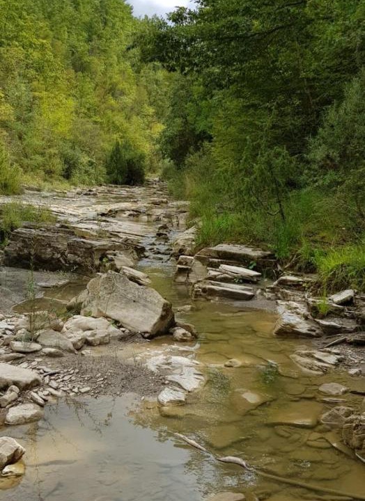 Photo of Others in Montelovesco