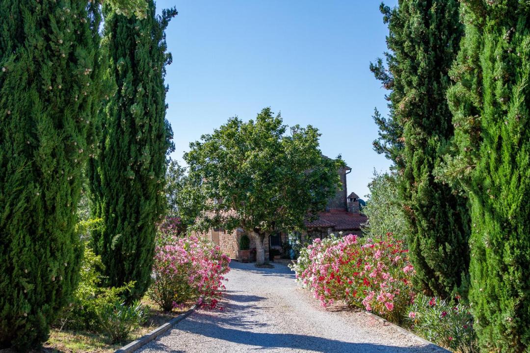 Photo of Others in Marciano della Chiana