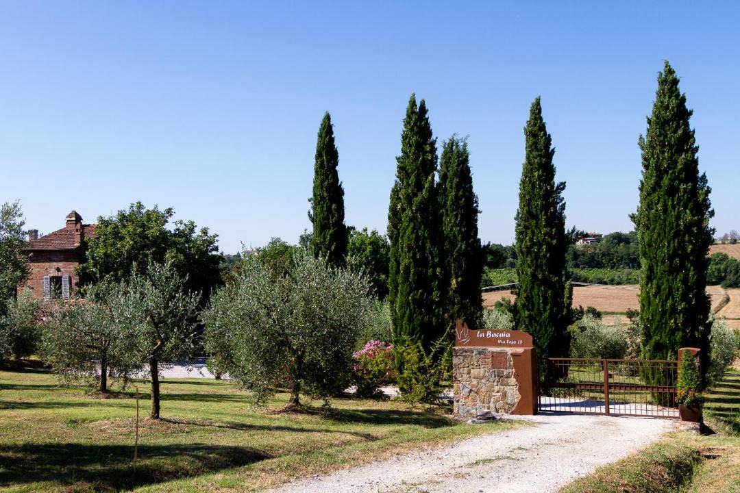 Photo of Others in Marciano della Chiana