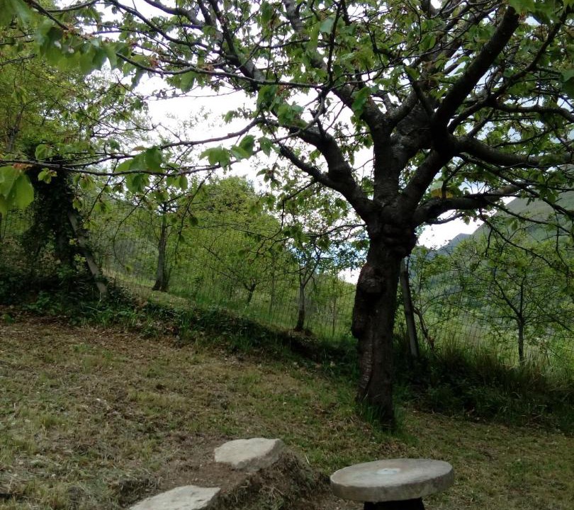 Photo of Others in Chiaserna