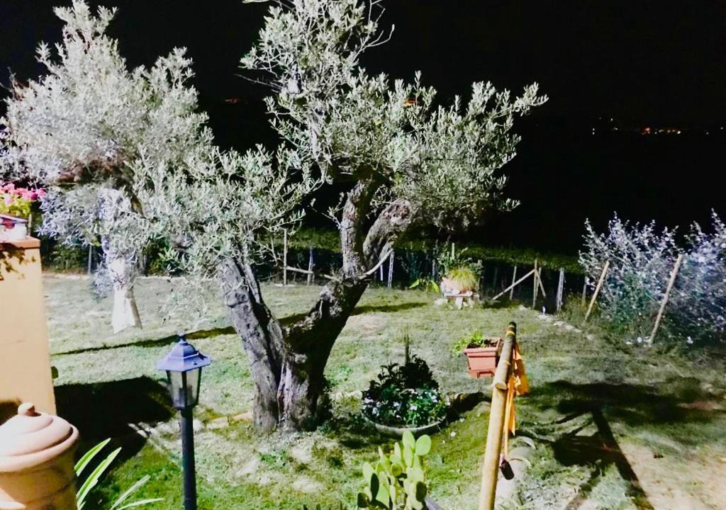 Photo of Others in Montesilvano