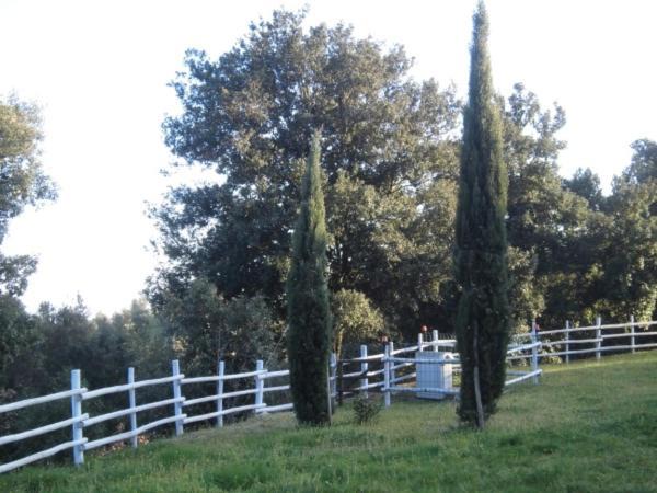 Photo of Others in Monteverdi Marittimo