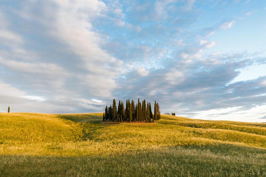 Photo of Others in Contignano