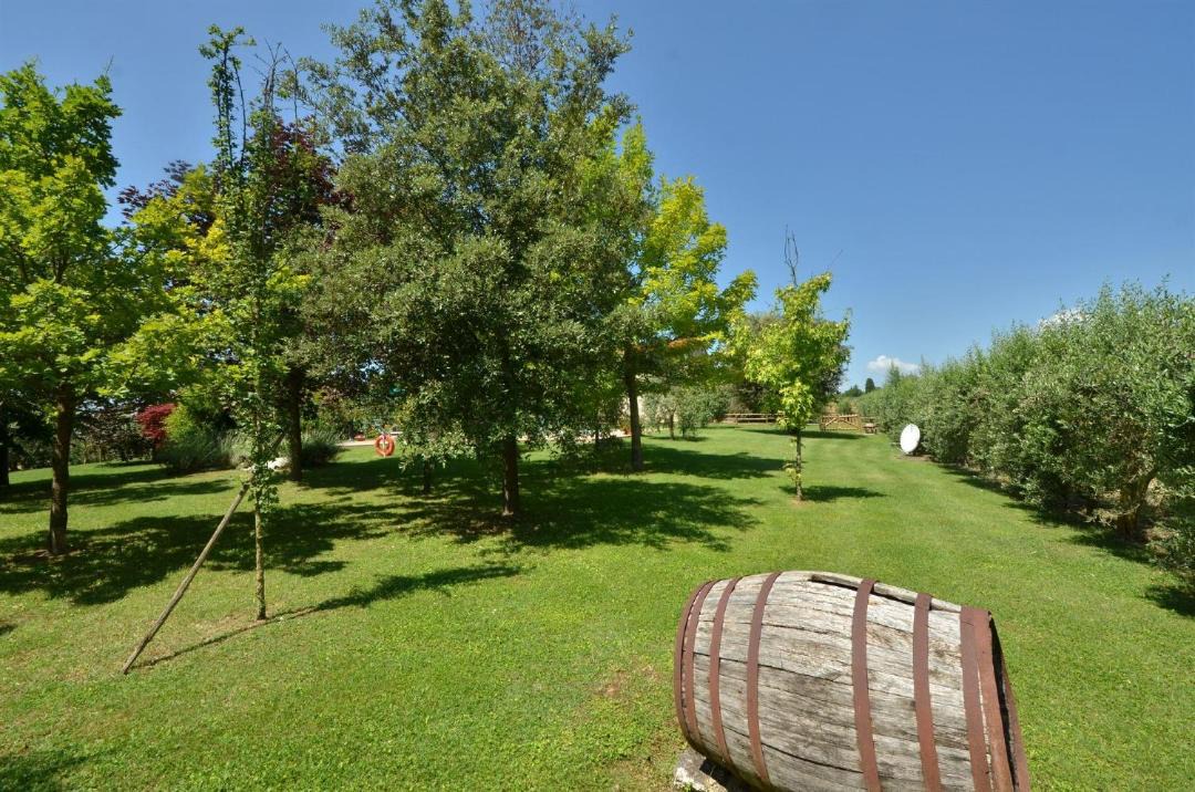 Photo of Others in Campiglia