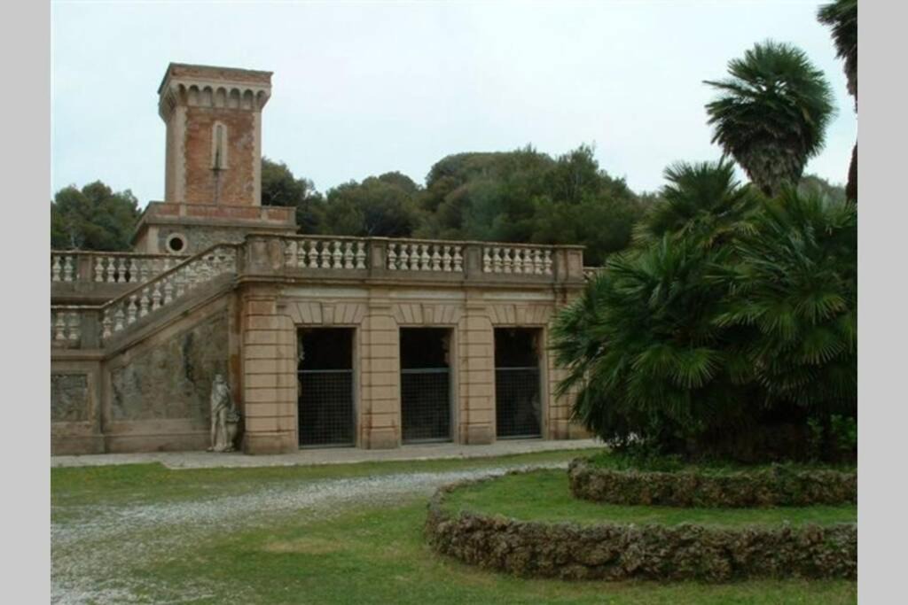 Photo of Others in Donoratico