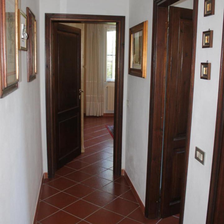 Photo of Others in Donoratico