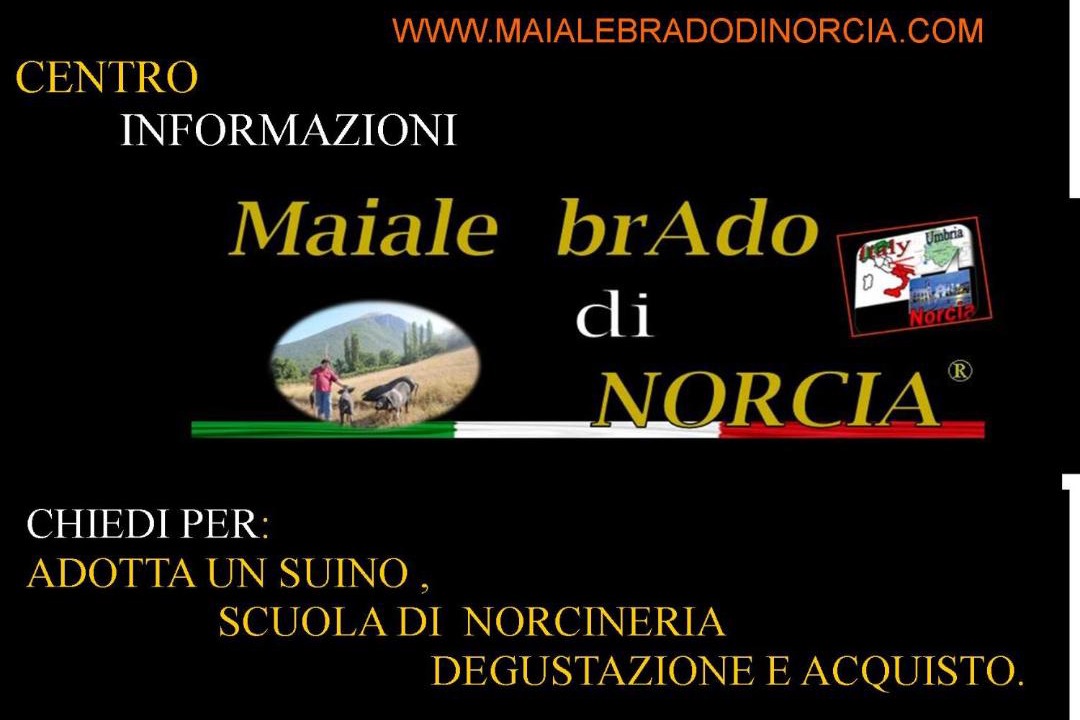 Photo of Others in Norcia